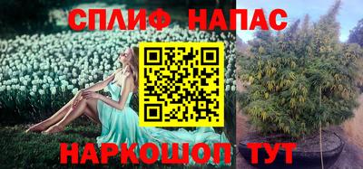 не бодяженный Новозыбков
