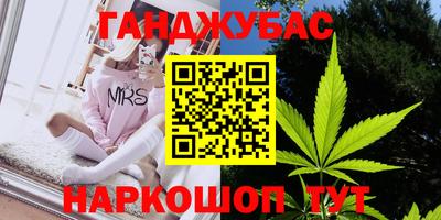 гидра Новодвинск