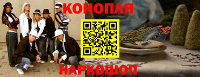гидра Новодвинск