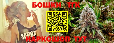 гидра Новодвинск