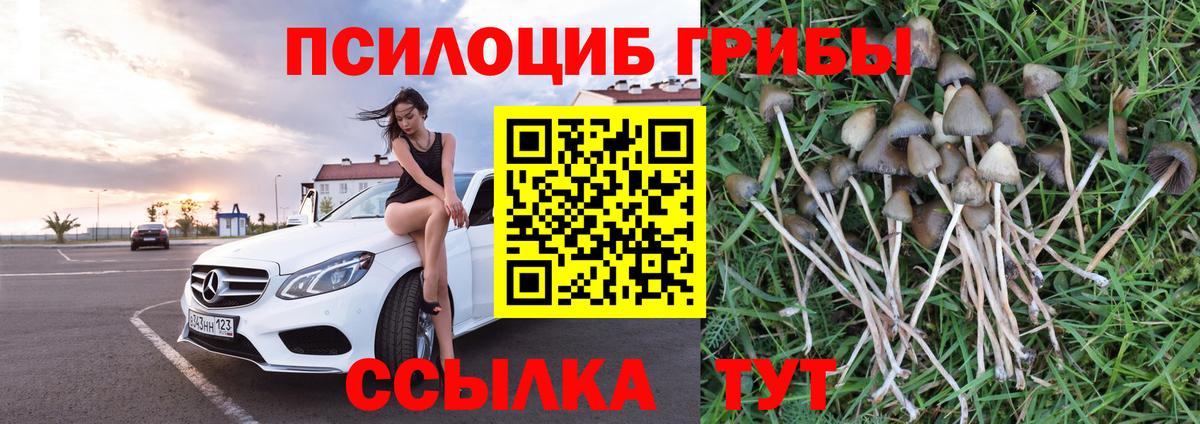 Россия  купить  цена  Галлюциногенные грибы ЛСД  Вход с VPN  Псилоцибиновые грибы мицелий 